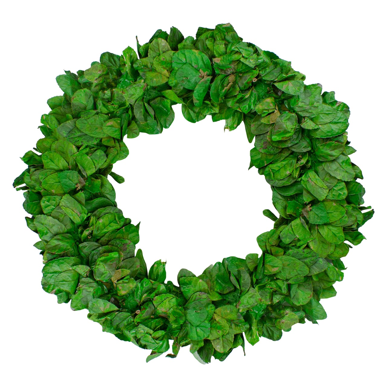20" Lush Green Preserved Leaf Spring Garden Wreath